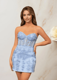 Bodycon Lace Mini Sky Blue Homecoming Dress - US0 - PromDressClub